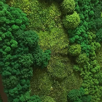 Панель из пластового мха и ягеля на заказ, фото 5 — вертикальное озеленение