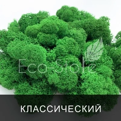 Ягель стабилизированный