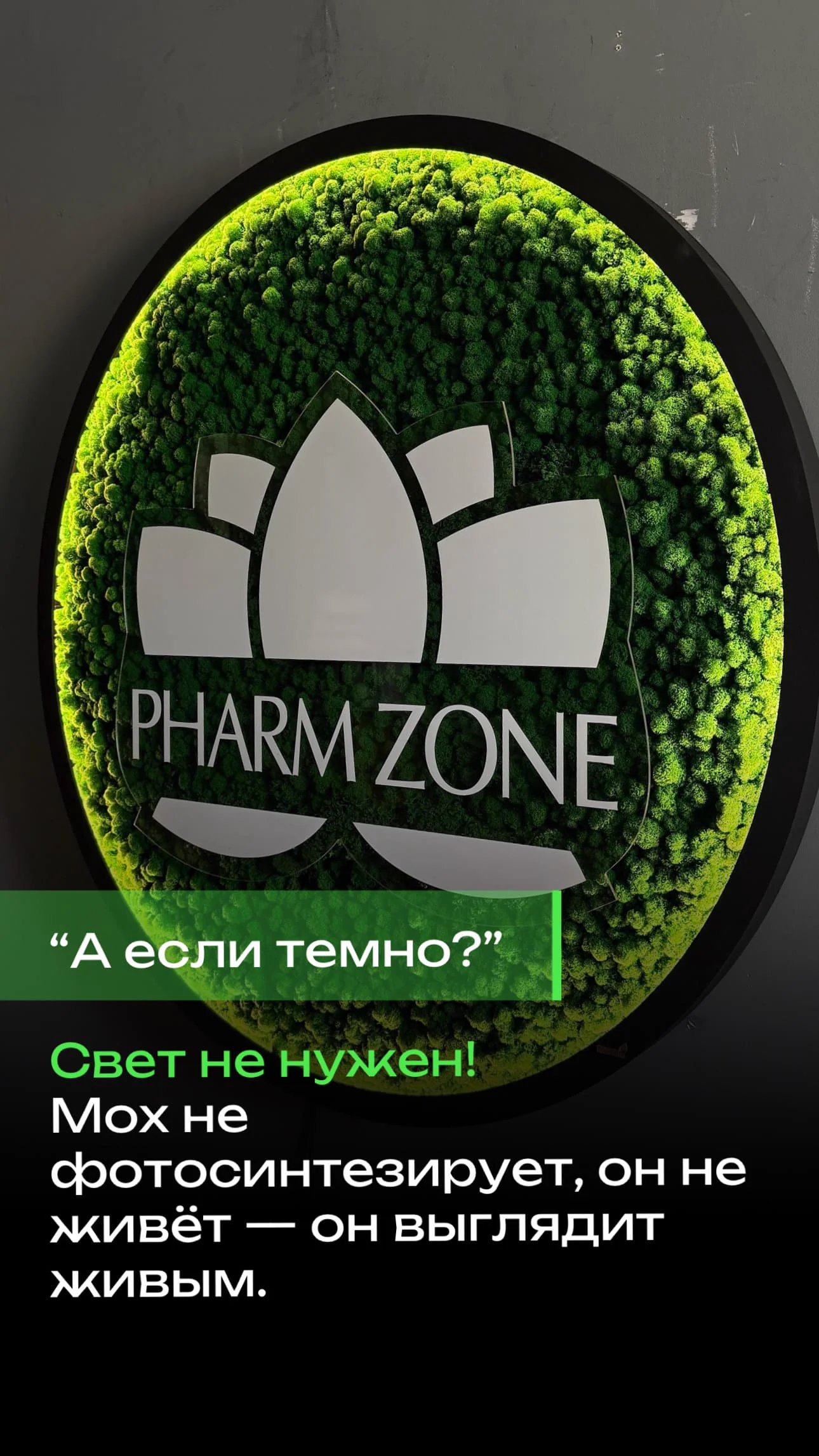 Ответ на вопрос: нужен ли мху свет