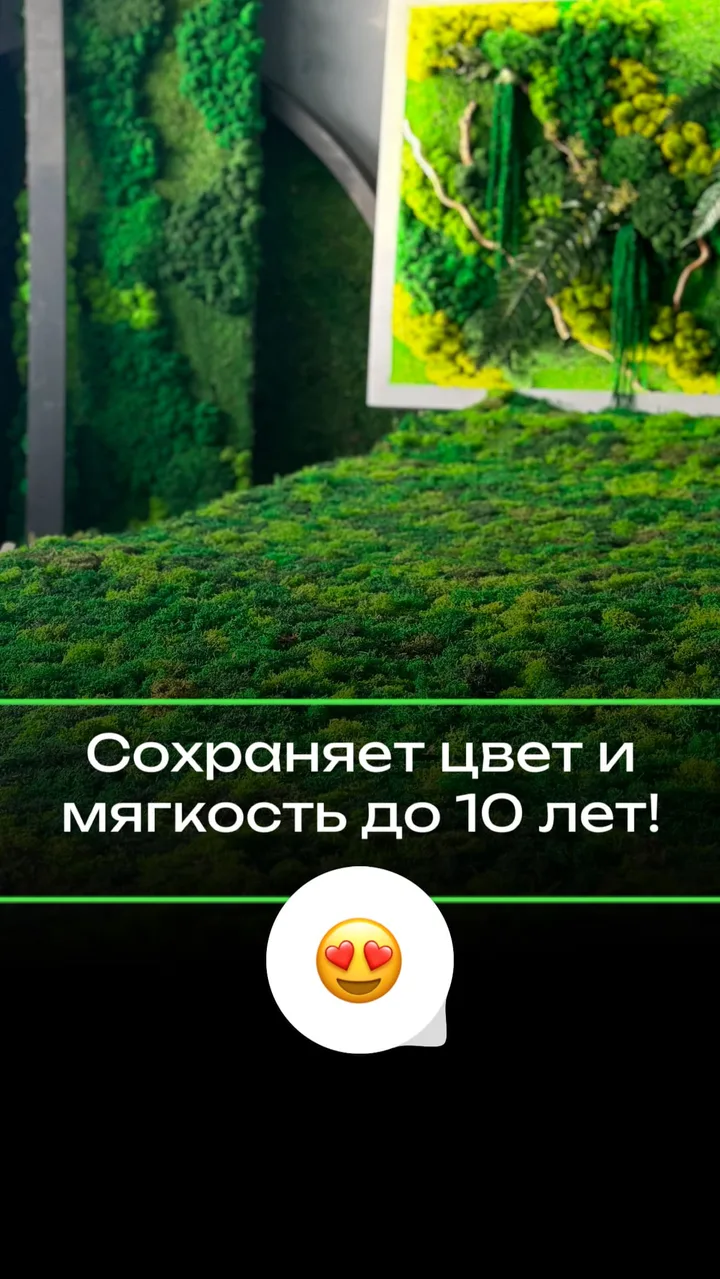 Мох сохраняет цвет и мягкость до 10 лет